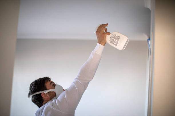Best Best Mold Removal Companies  in Palouse, WA