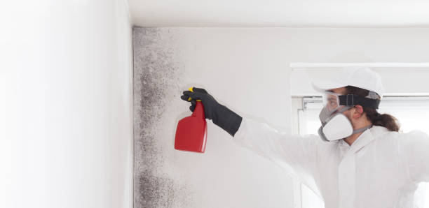 Best Mold Cleaning Services  in Palouse, WA