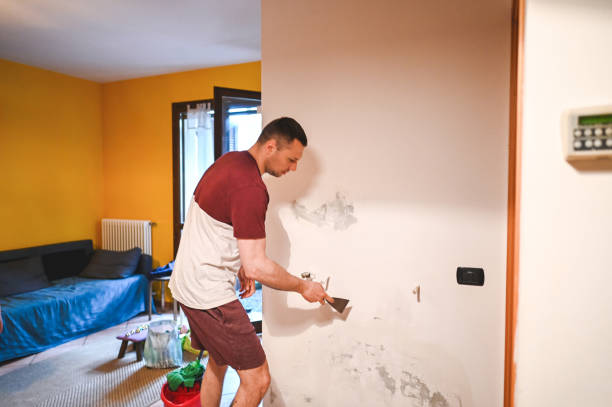 Best Emergency Mold Removal  in Palouse, WA